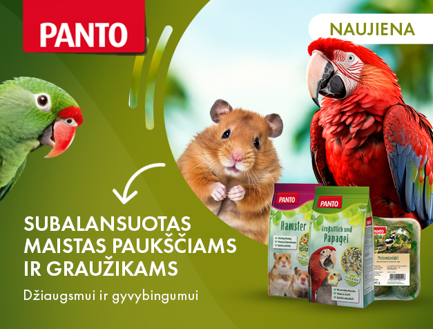 PANTO maistas