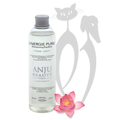 ANJU ENERGIE PURE, antialerginis šampūnas šunims ir katėms