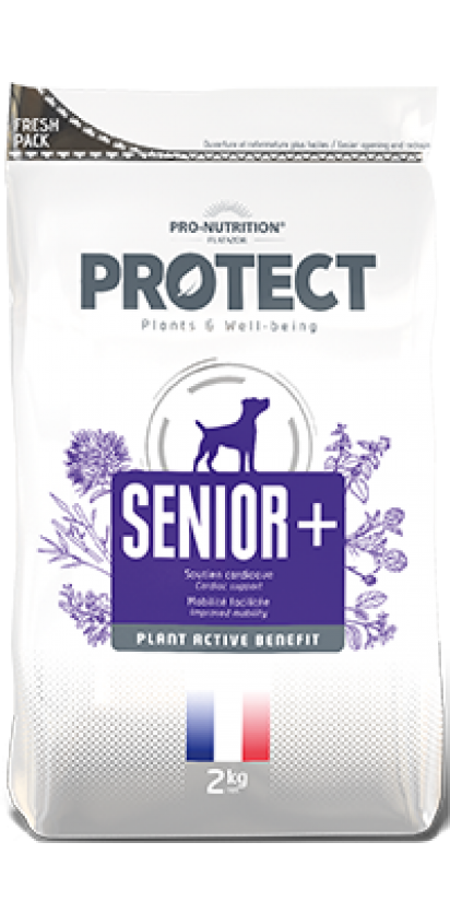 Pro Nutrition Protect Senior+ vyresnio amžiaus šunims 2kg