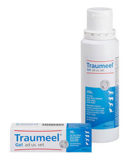 Traumeel Gel Traumeel Gel