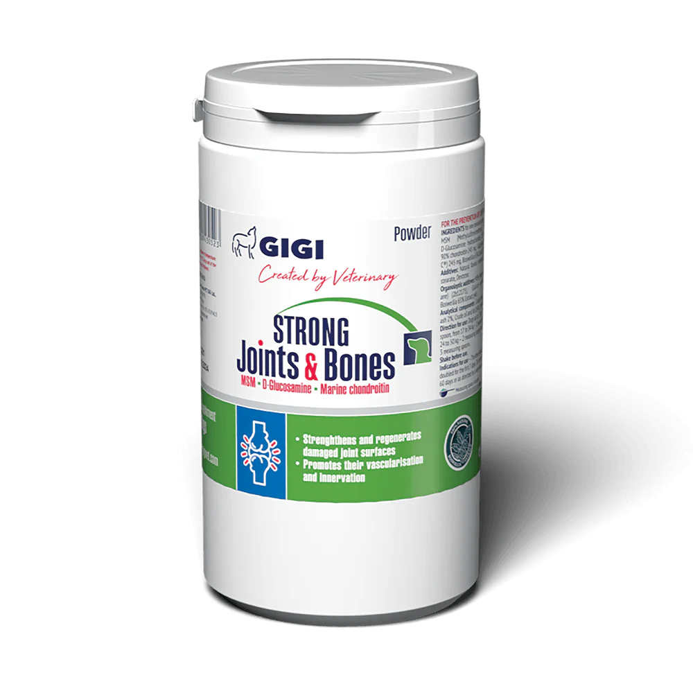 GIGI STRONG Joints & Bones papildas vidutinių ir didelių veislių šunų sąnariams ir kaulams miletliai 500 g
