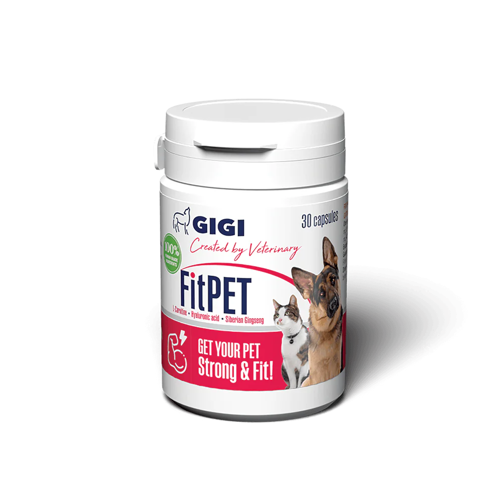 GIGI FitPET Pet Supplement for Energy Boost maisto papildas šunims ir katėms svorio ir energijos palaikymui 30 kaps.