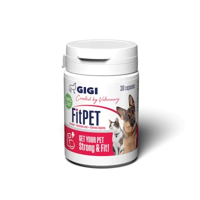 GIGI FitPET Pet Supplement for Energy Boost maisto papildas šunims ir katėms svorio ir energijos palaikymui 30 kaps.