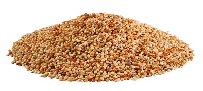PANTO Wellensittich banguotųjų papūgėlių lesalas su Pluramin 1-2.5 kg