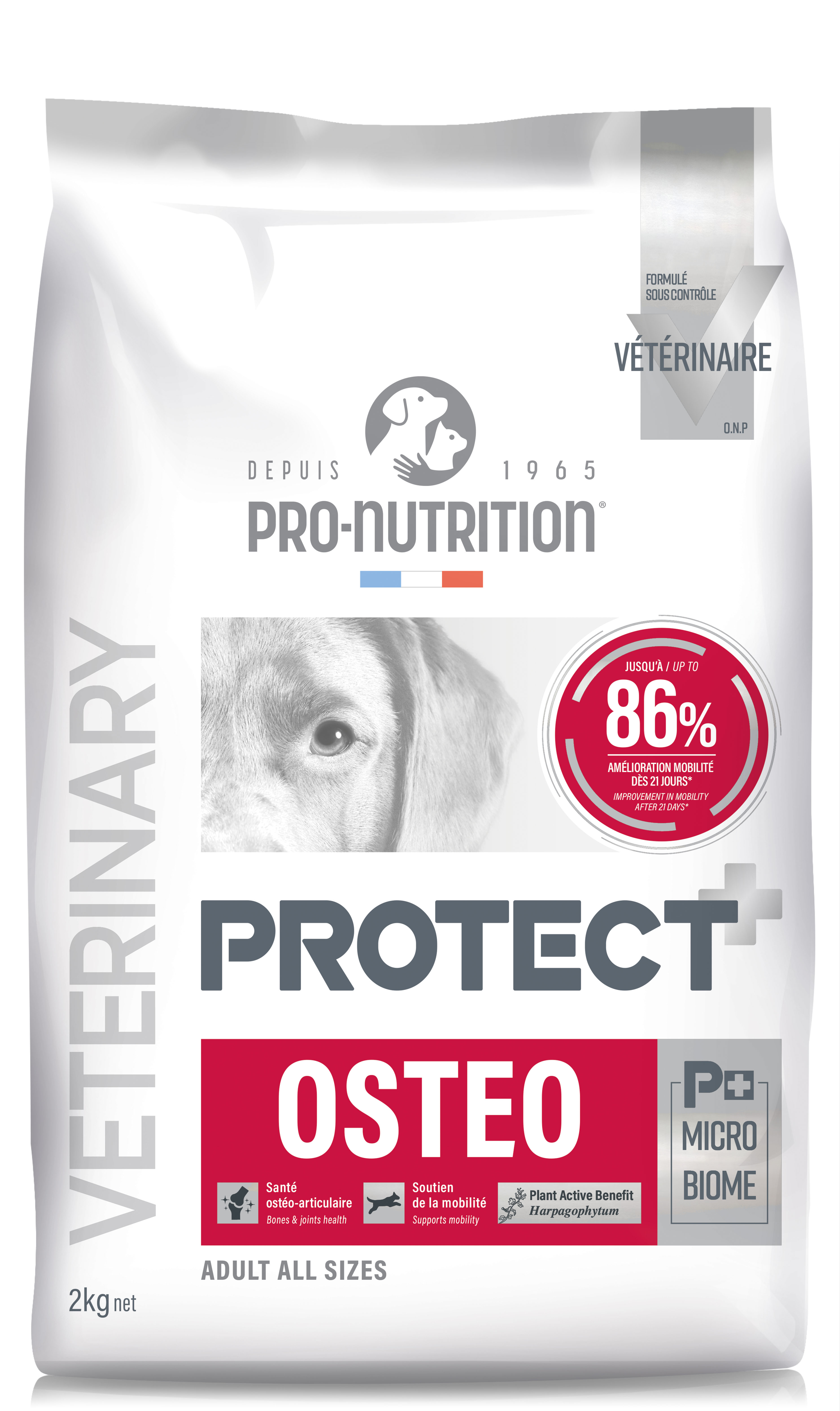 PRO-NUTRITION PROTECT OSTEO, subalansuotas sausas pašaras šunims, turintiems sąnarių problemų,2-12kg