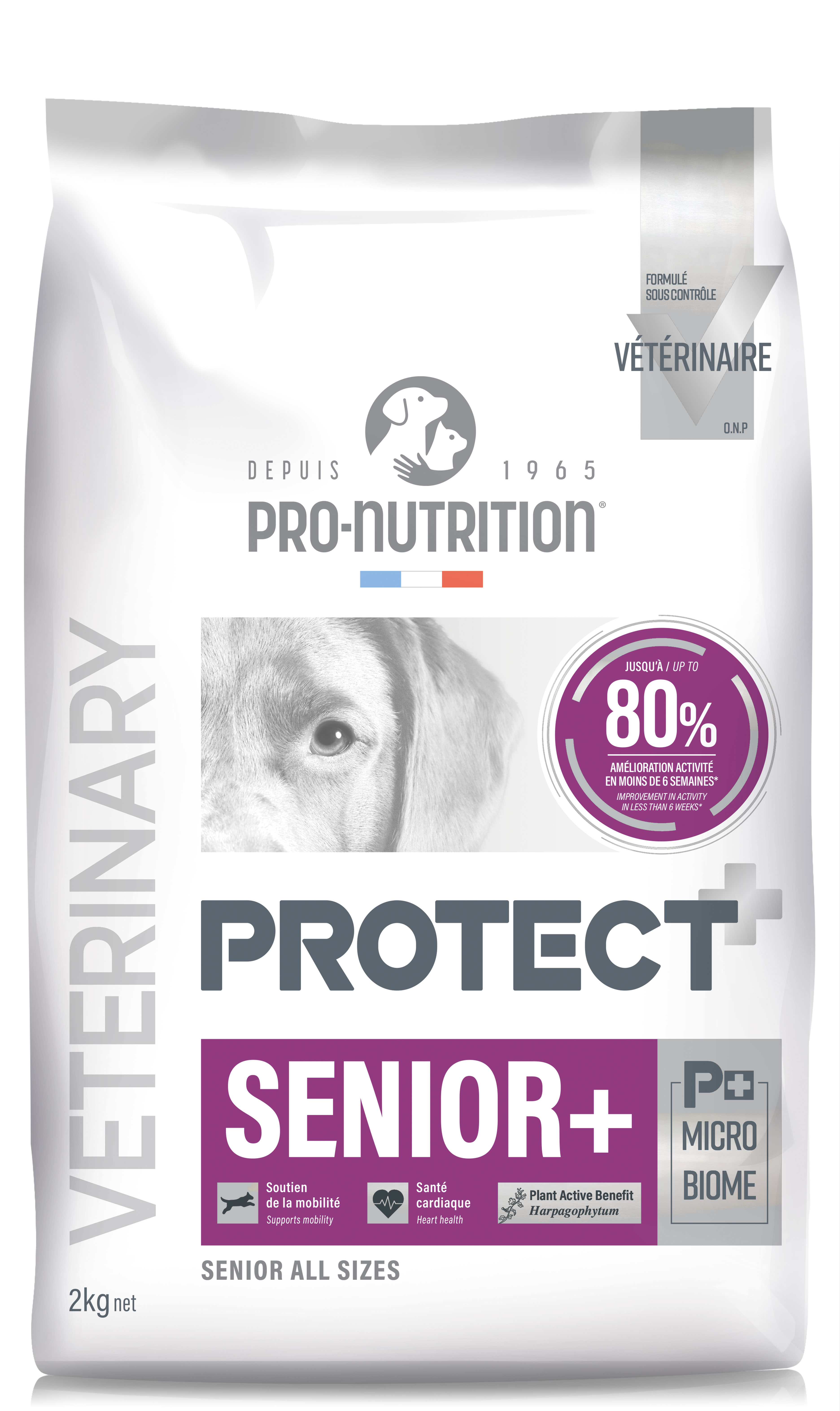 PRO-NUTRITION PROTECT SENIOR, subalansuotas dietinis pašaras vyresnio amžiaus šunims 2-12kg