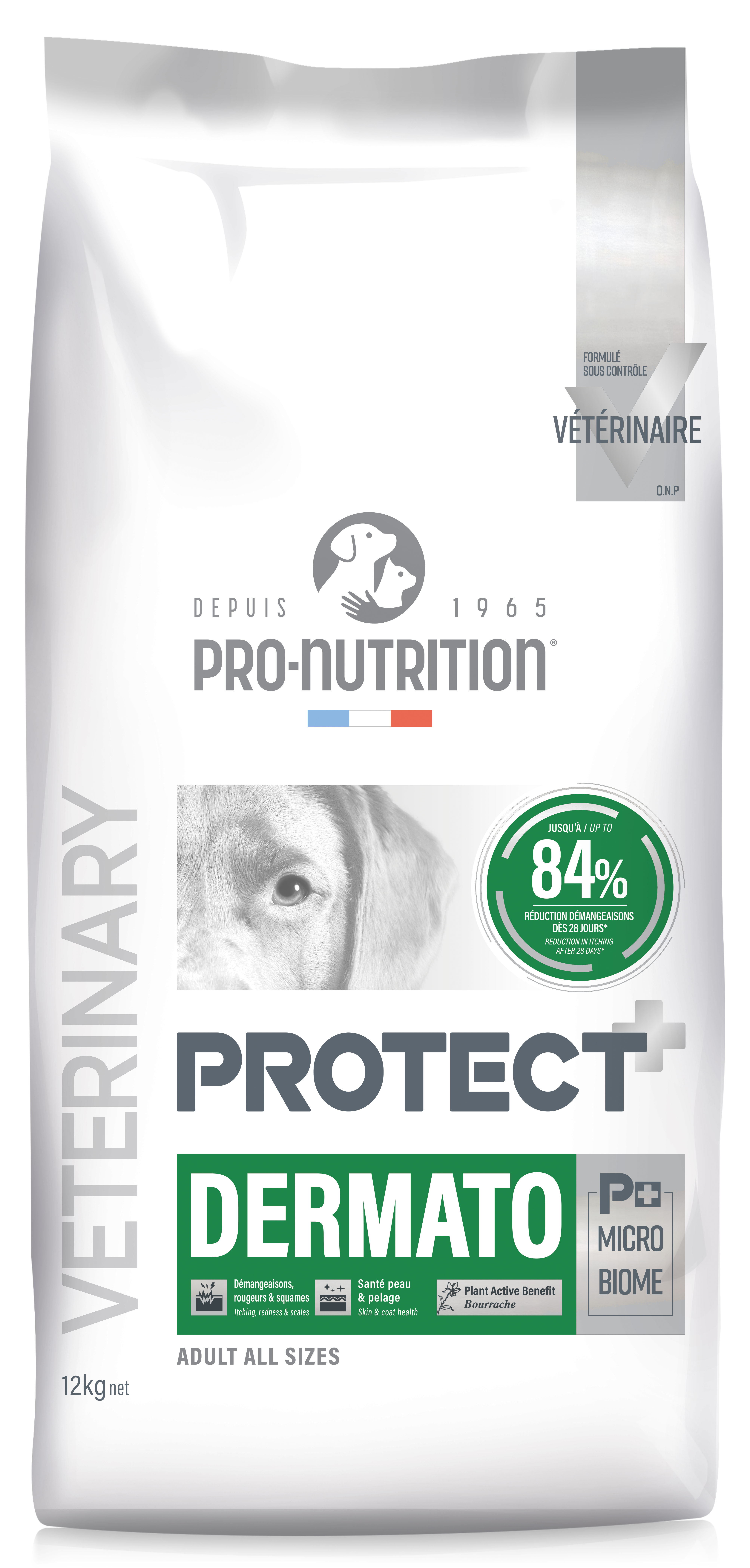 Pro-Nutrition Protect Dermato subalansuotas dietinis maistas odos probelmų turintiems šunims 2-12 kg